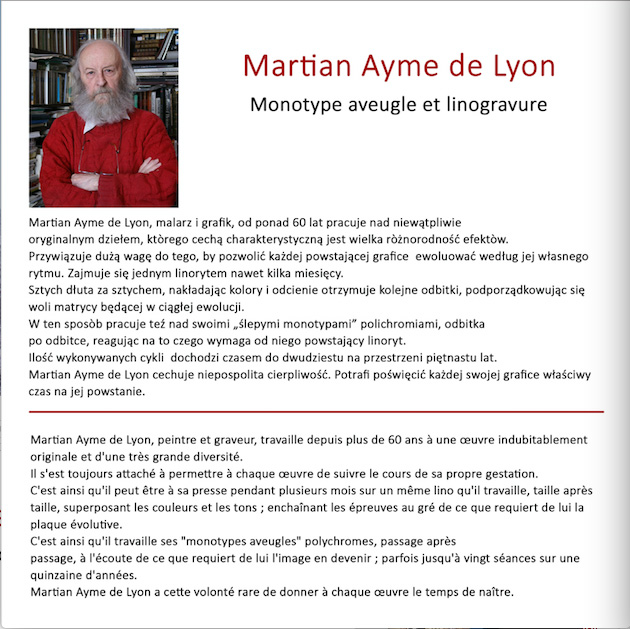 L'IND&Eacute;CISE-(Portfolio)_.jpg